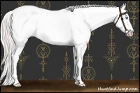 Horse Color:Silver Smoky Black Pearl Splash Appaloosa 