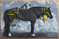 Horse Color:Black 