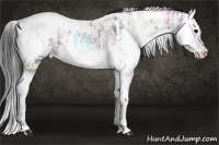 Horse Color:White Spotted Grullo Ice Splash