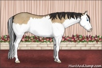 Horse Color:Bay Roan Dun Splash