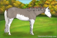 Horse Color:Silver Grullo Roan Splash