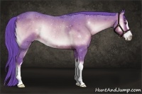 Horse Color:Watercolor Liver Red Onyx Sabino Rabicano