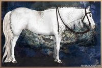 Horse Color:White Spotted Chocolate Palomino