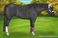 Horse Color:Smoky Blue Roan 