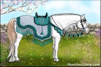 Horse Color:Buckskin Appaloosa