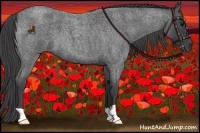 Horse Color:Smoky Blue Roan 