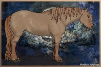Horse Color:Liver Red Dun Rabicano