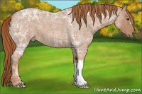 Horse Color:Red Ice Roan 