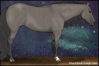 Horse Color:Smoky Grullo Roan 