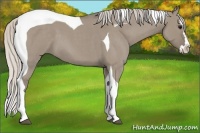 Horse Color:Silver Smoky Grullo Roan Splash Tobiano 