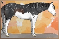 Horse Color:Brown Splash Snowflake Varnish