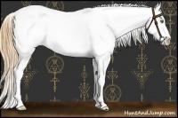 Horse Color:Sable Cream Champagne Roan Tobiano Near Leopard 