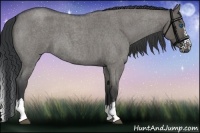 Horse Color:Grullo Roan Splash 