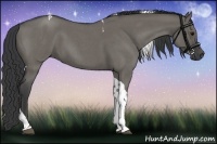 Horse Color:Grullo Roan Tobiano