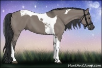 Horse Color:Grullo Tobiano 
