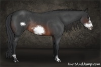 Horse Color:Brown Roan Sabino Frame Rabicano