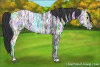 Horse Color:Black Ice