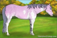 Horse Color:Watercolor Bay Splash 