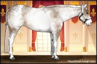 Horse Color:White Spotted Chocolate Palomino 