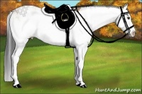 Horse Color:Buckskin Dun Sabino Splash 