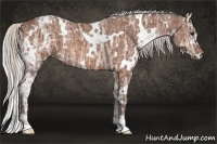 Horse Color:White Spotted Silver Bay Ice Rabicano 
