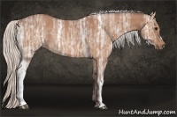 Horse Color:Silver Bay Ice 
