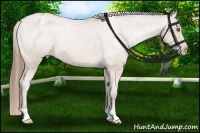 Horse Color:Black Pearl Varnish 