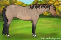 Horse Color:Bay Roan Dun 