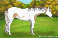 Horse Color:Silver Bay Dun Splash Tobiano