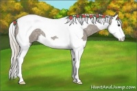 Horse Color:Silver Smoky Blue Roan Splash Tobiano 