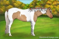 Horse Color:Silver Bay Dun Tobiano 