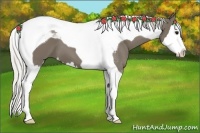 Horse Color:Silver Smoky Black Splash Tobiano 