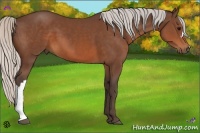 Horse Color:Silver Brown 