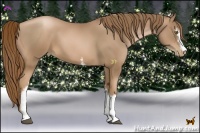 Horse Color:White Spotted Liver Chestnut Pearl 