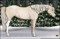 Horse Color:Palomino Roan Pearl Sabino