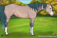 Horse Color:Watercolor Bay Dun Sabino Splash 