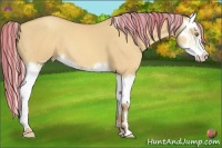 Horse Color:Painted Silver Amber Champagne Dun Splash 