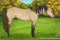 Horse Color:Painted Buckskin Dun 