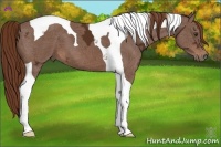 Horse Color:Chestnut Ice Tobiano 