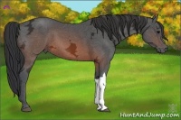 Horse Color:Brown Ice