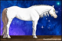 Horse Color:Sable Champagne Dun Tobiano Near Fewspot 