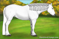Horse Color:Gray Bay