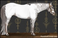 Horse Color:Liver Chestnut Near Fewspot 