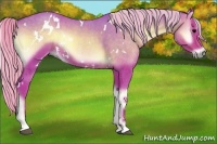 Horse Color:Watercolor White Spotted Silver Blue Onyx Sabino 