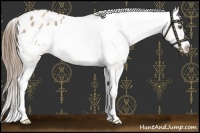 Horse Color:Liver Chestnut Pearl Frame Appaloosa 