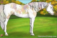 Horse Color:Nacre White Spotted Silver Classic Champagne Dun Splash 
