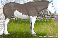 Horse Color:Silver Black Splash