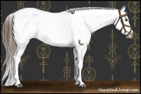 Horse Color:Brown Roan Dun Appaloosa 