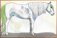 Horse Color:Watercolor Liver Red Dun Onyx Sabino Splash Tobiano