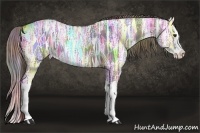 Horse Color:Nacre Liver Chestnut Ice Splash 